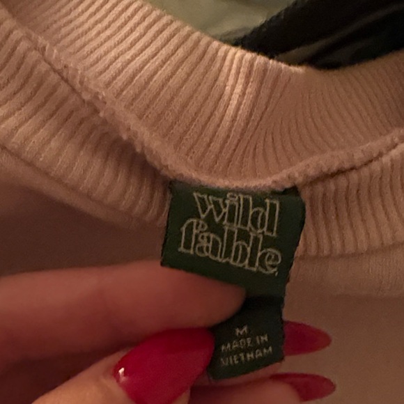 Wild Fable Blush Pink Pullover - Picture 2 of 4